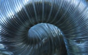 How Often Should You Clean Your Dryer Vent?
